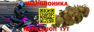 ECSTASY Рыбинск
