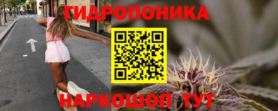 ECSTASY Рыбинск